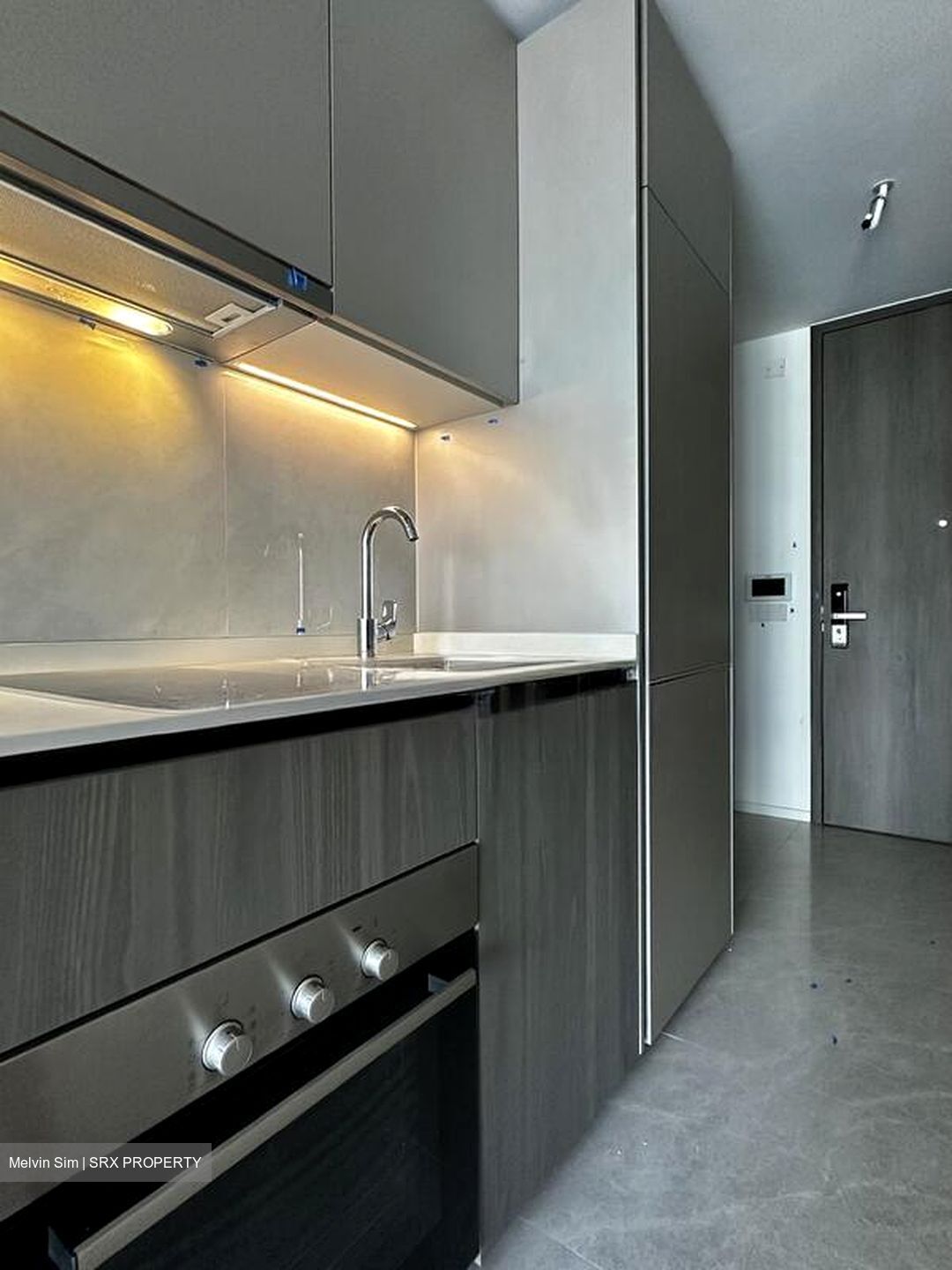 Piccadilly Grand (D8), Apartment #497689641